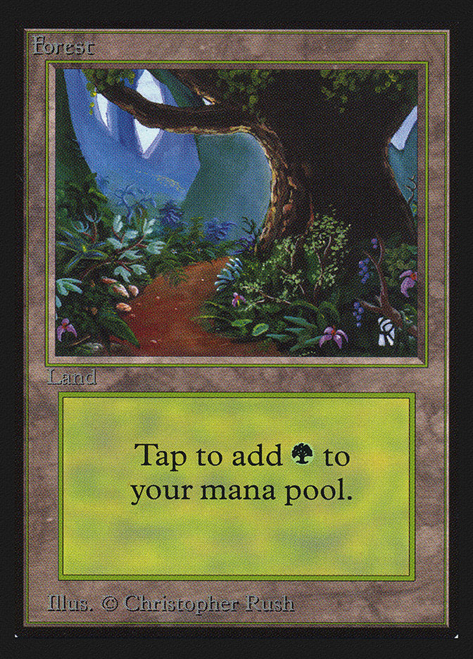 Forest (Flower Path) [International Collectors' Edition] | Black Swamp Games