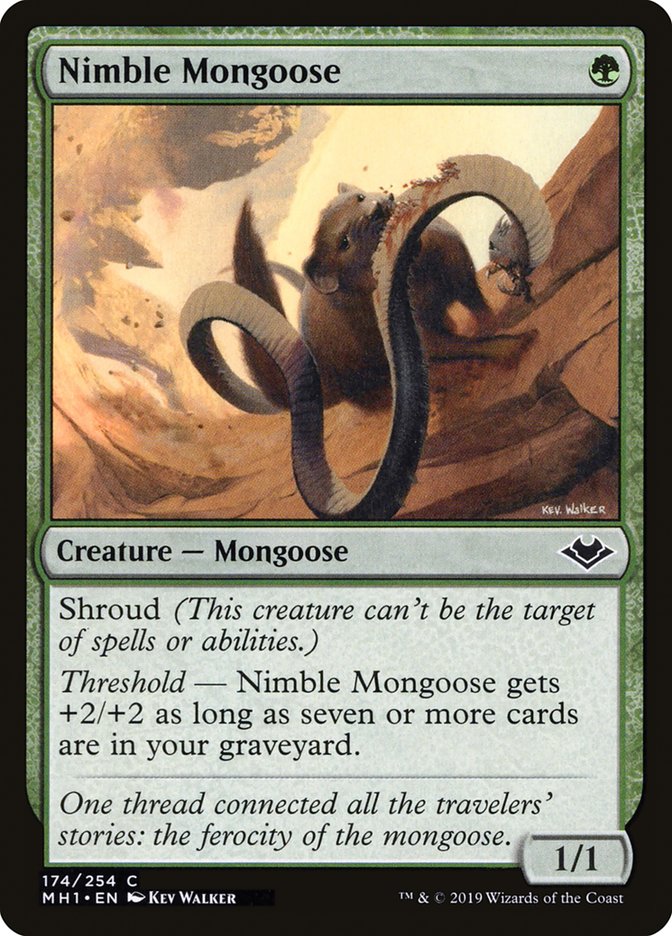 Nimble Mongoose [Modern Horizons] | Black Swamp Games