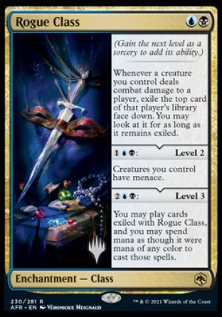 Rogue Class (Promo Pack) [Dungeons & Dragons: Adventures in the Forgotten Realms Promos] | Black Swamp Games