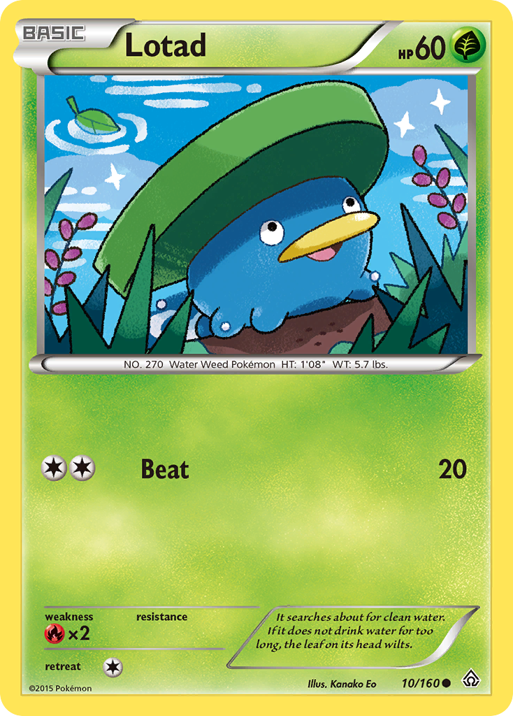 Lotad (10/160) [XY: Primal Clash] | Black Swamp Games