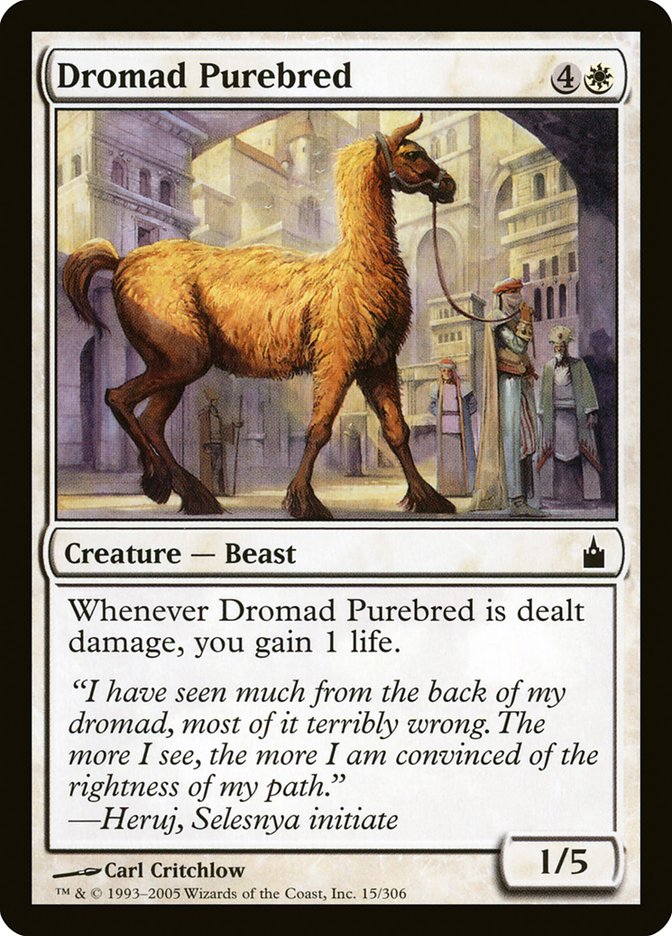 Dromad Purebred [Ravnica: City of Guilds] | Black Swamp Games