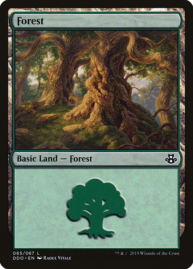 Forest (65) [Duel Decks: Elspeth vs. Kiora] | Black Swamp Games