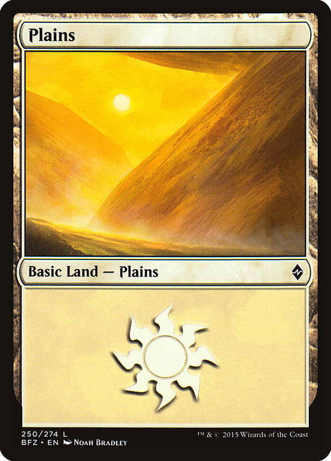 Plains (250) [Battle for Zendikar] | Black Swamp Games