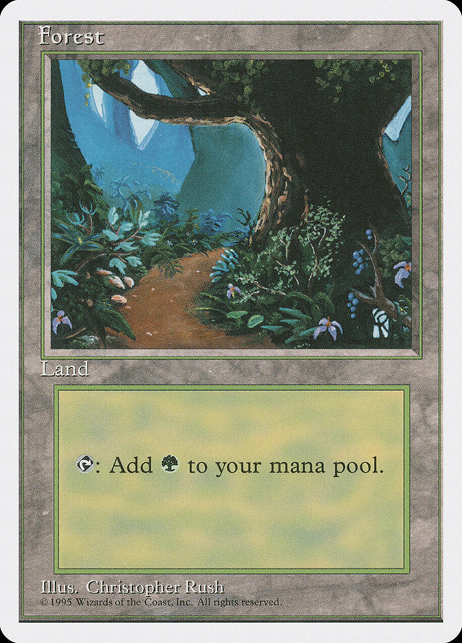 Forest (Flower Path) [Fourth Edition] | Black Swamp Games