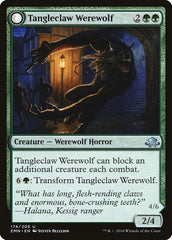 Tangleclaw Werewolf // Fibrous Entangler [Eldritch Moon] | Black Swamp Games