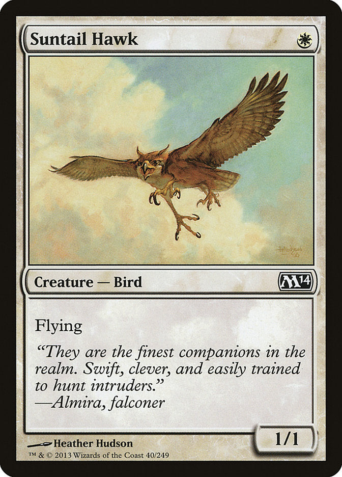 Suntail Hawk [Magic 2014] | Black Swamp Games