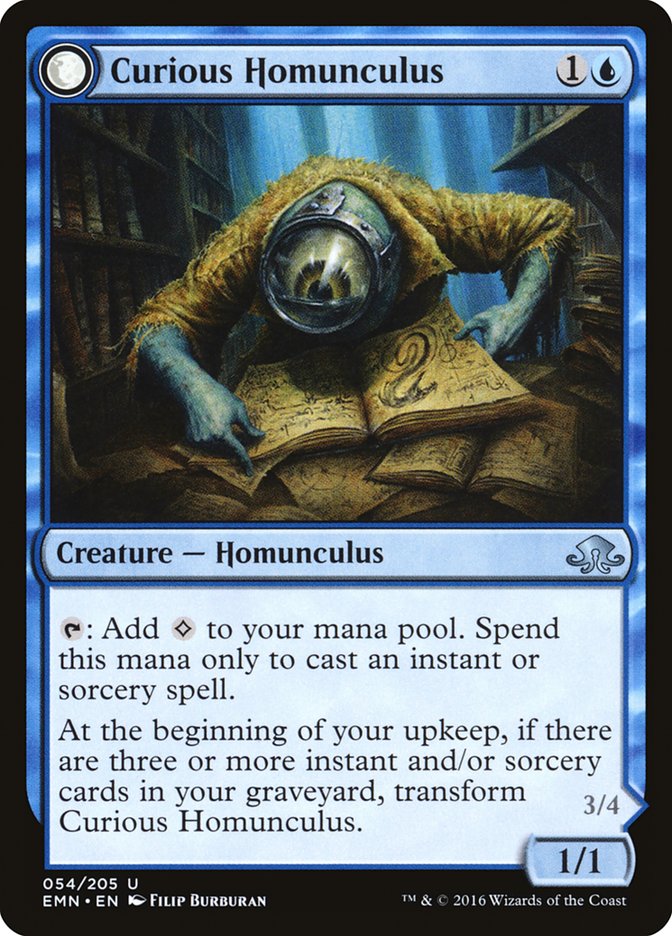 Curious Homunculus // Voracious Reader [Eldritch Moon] | Black Swamp Games