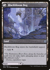 Blackbloom Rogue // Blackbloom Bog [Zendikar Rising] | Black Swamp Games