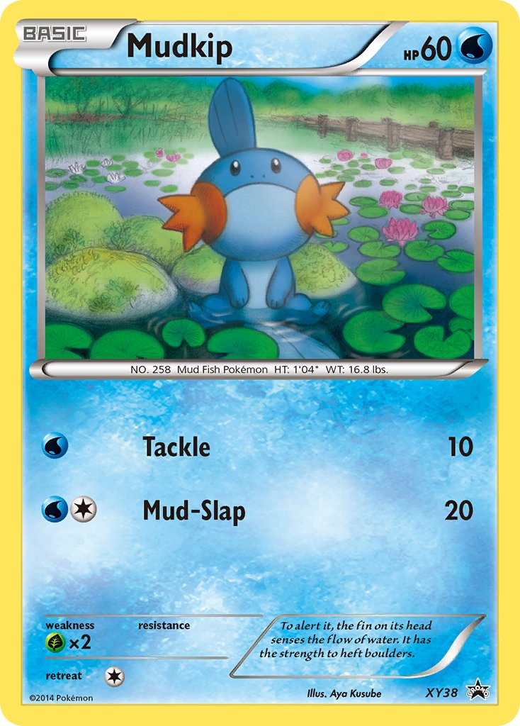 Mudkip (XY38) [XY: Black Star Promos] | Black Swamp Games