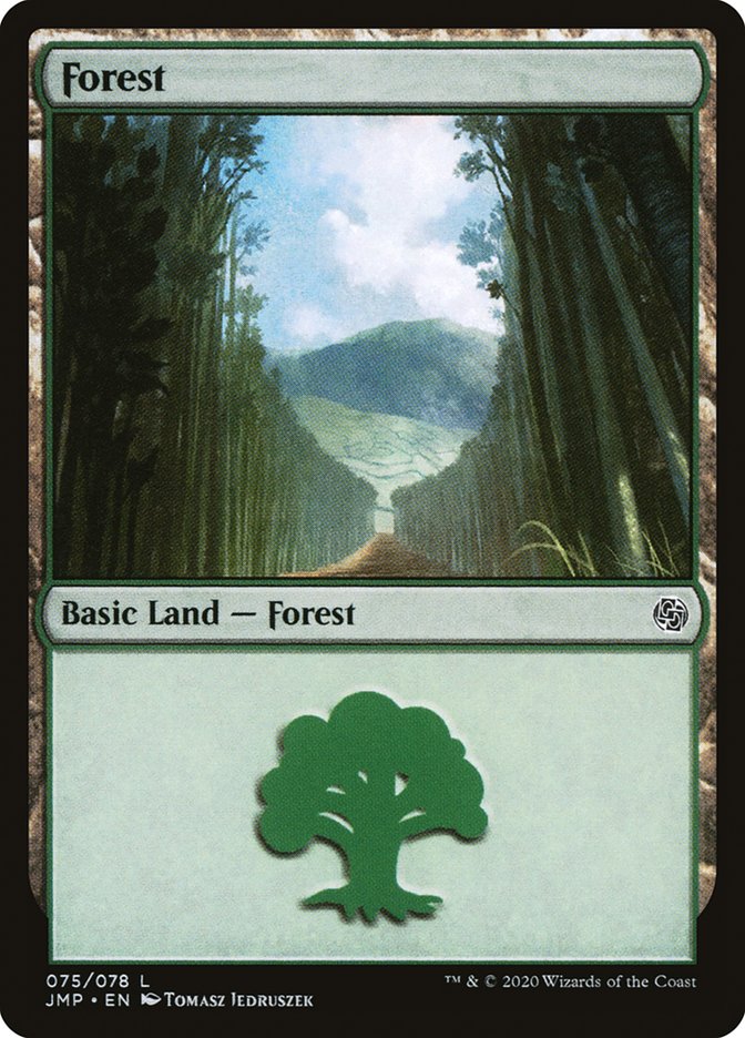 Forest (75) [Jumpstart] | Black Swamp Games