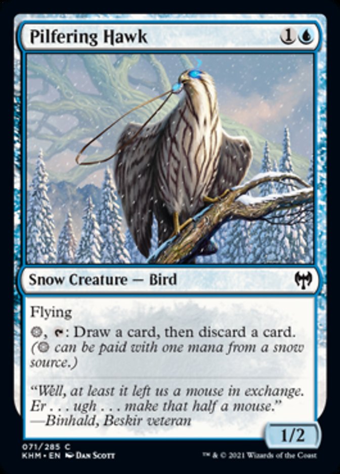Pilfering Hawk [Kaldheim] | Black Swamp Games
