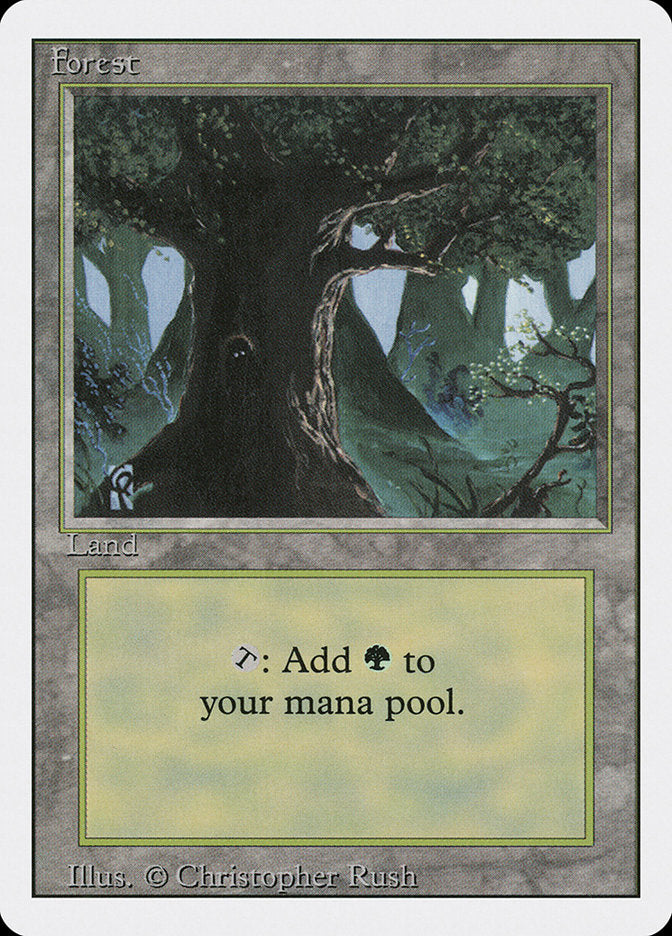 Forest (Eyes in Tree) [Revised Edition] | Black Swamp Games