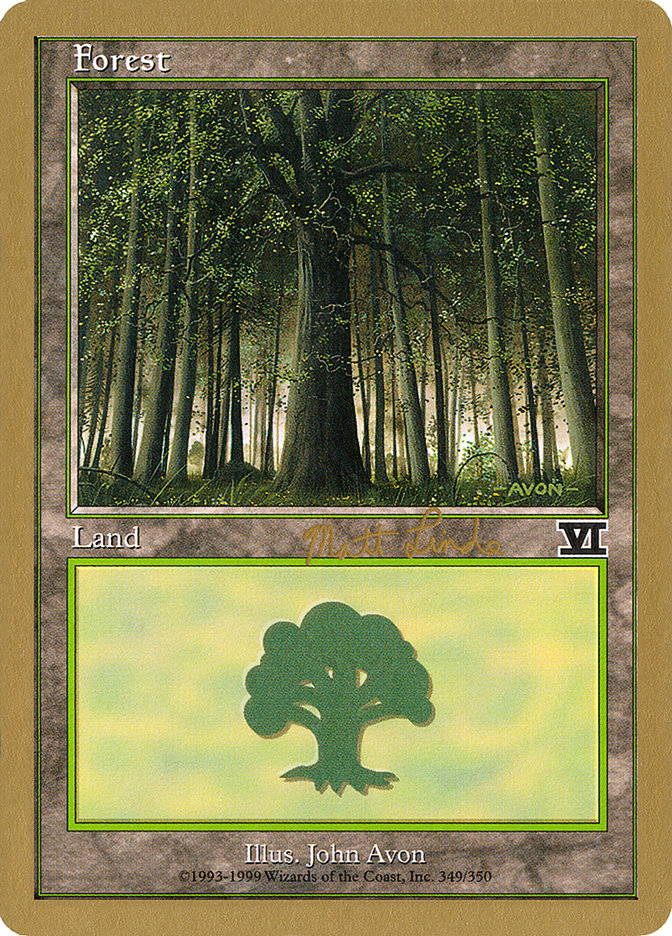 Forest (ml349) (Matt Linde) [World Championship Decks 1999] | Black Swamp Games