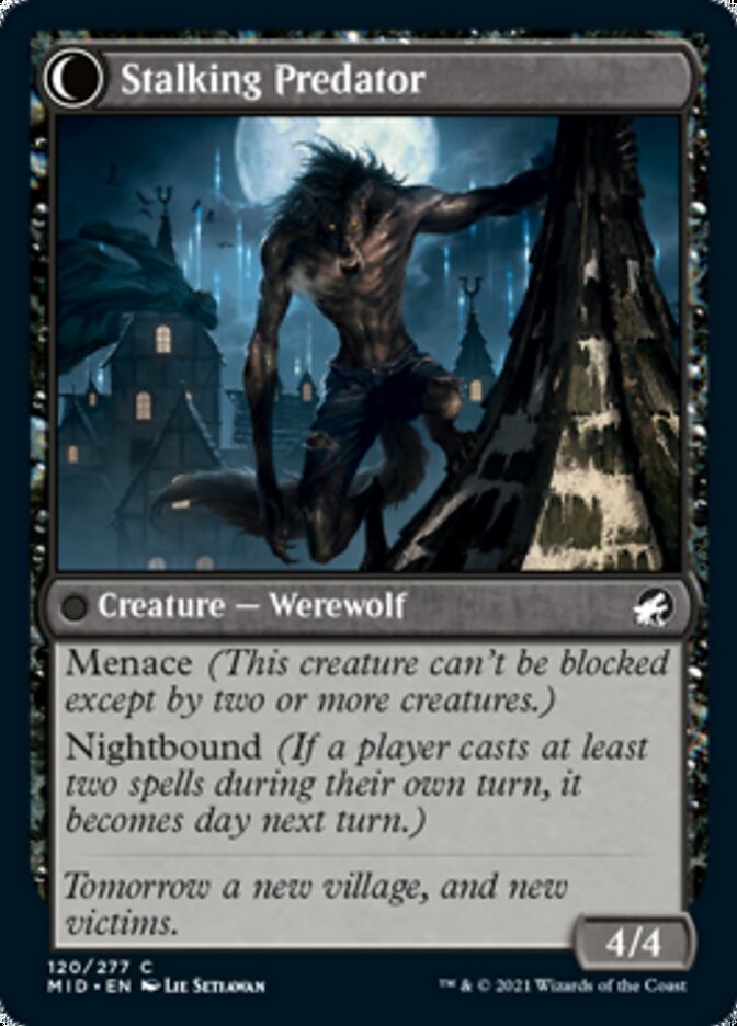 Shady Traveler // Stalking Predator [Innistrad: Midnight Hunt] | Black Swamp Games