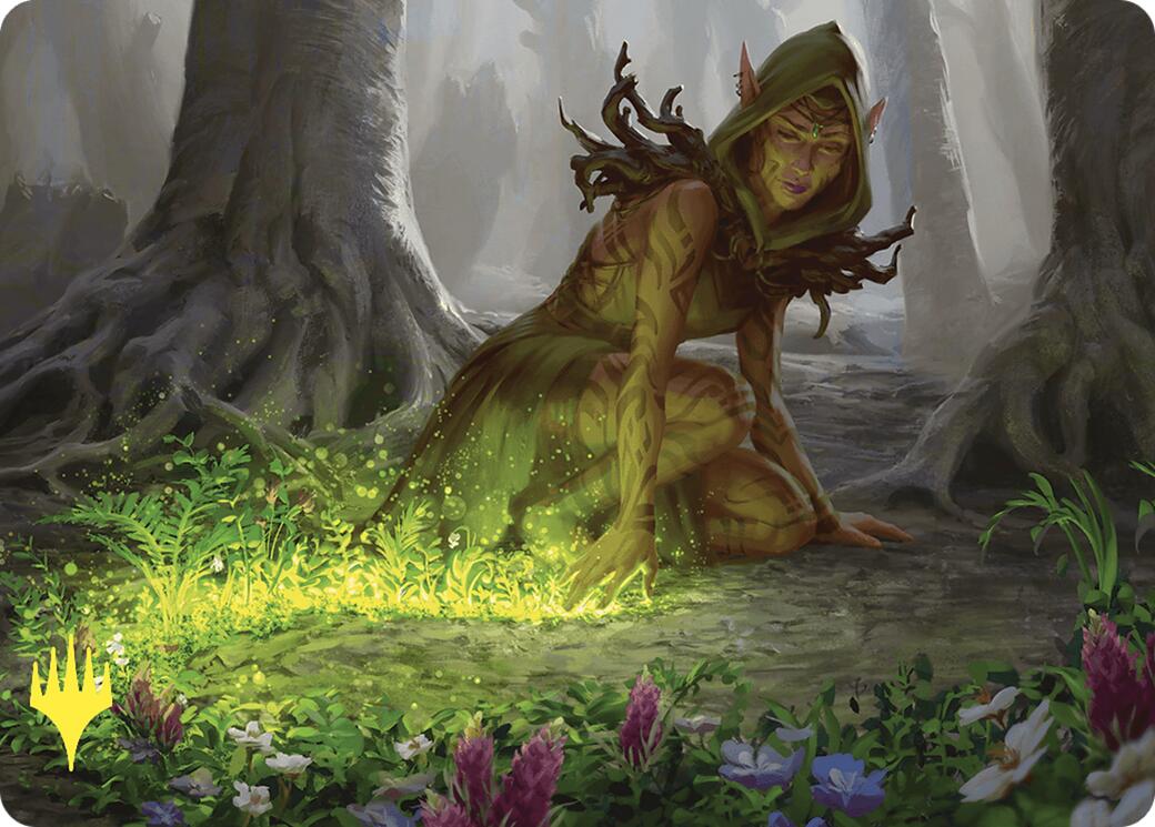 Skyshroud Claim Art Card (Gold-Stamped) [Commander Masters Art Series] | Black Swamp Games