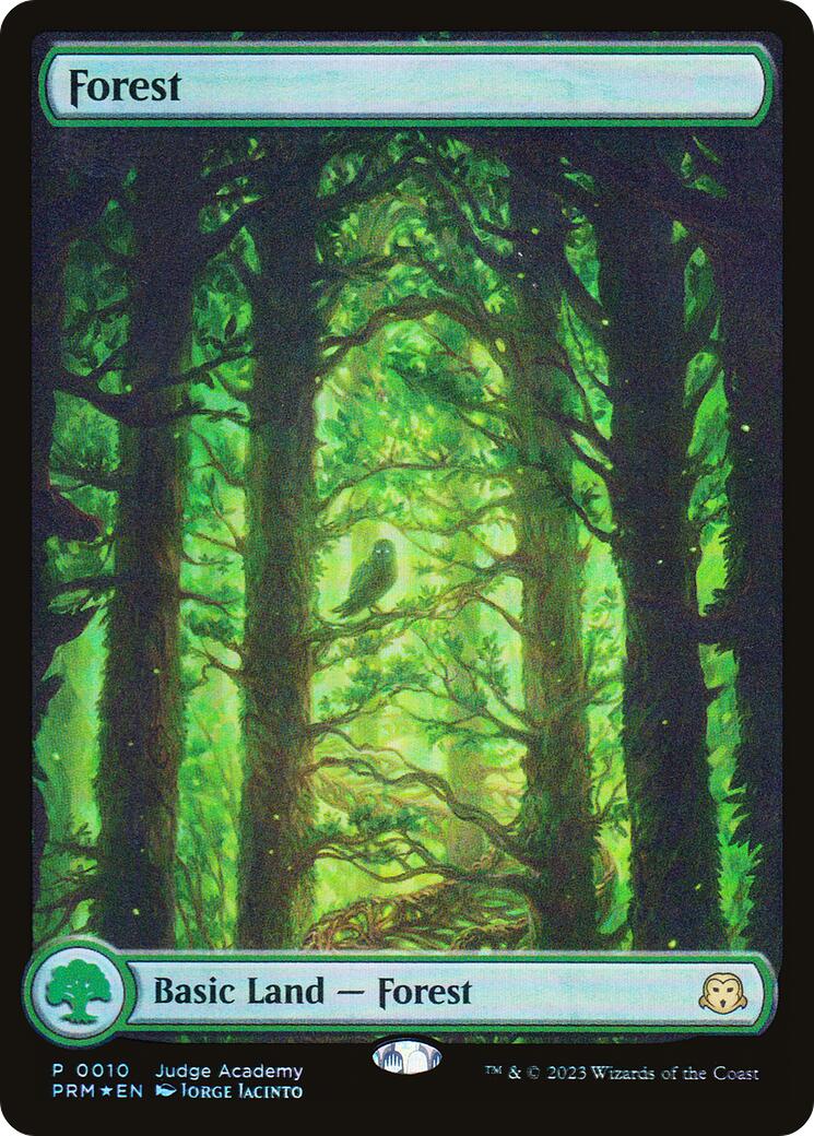 Forest [Judge Gift Cards 2023] | Black Swamp Games