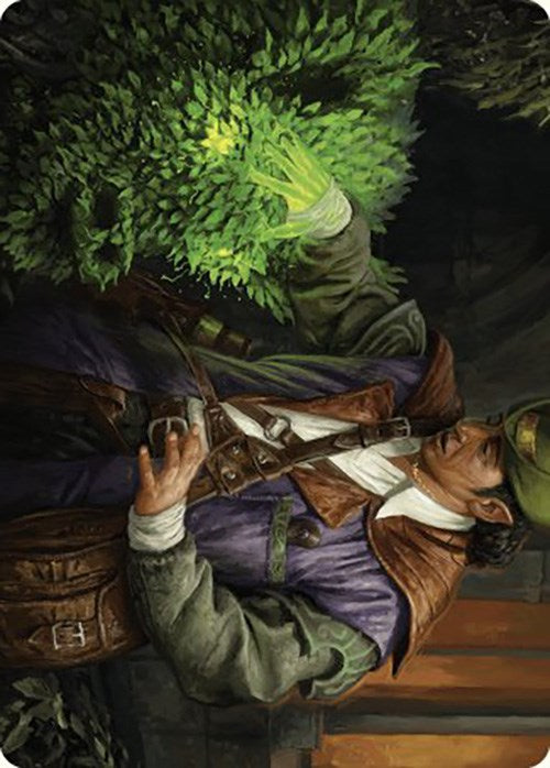 Hedge Whisperer Art Card [Murders at Karlov Manor Art Series] | Black Swamp Games