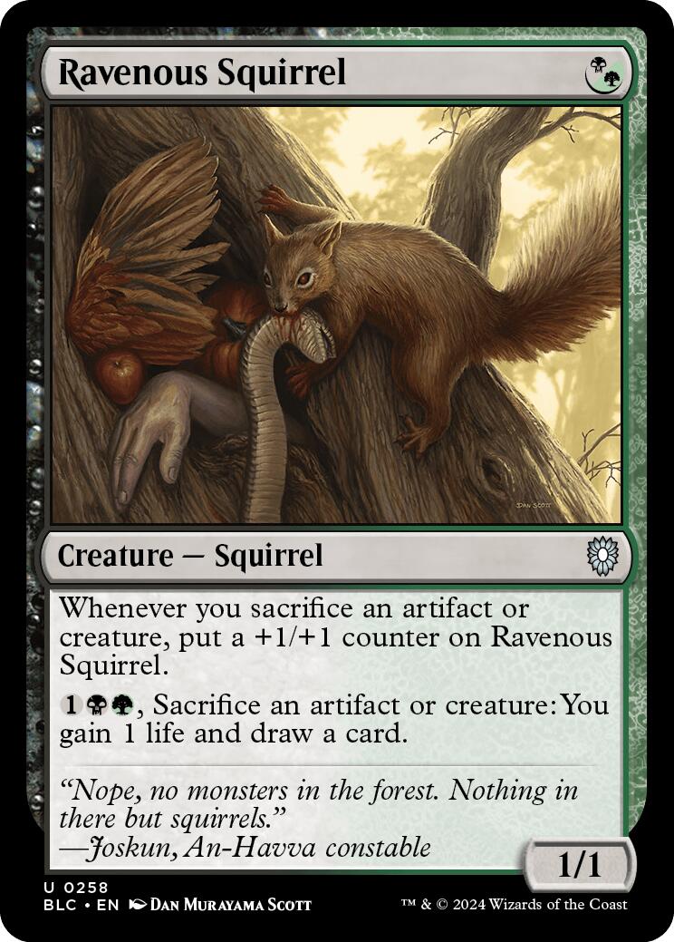 Ravenous Squirrel [Bloomburrow Commander] | Black Swamp Games