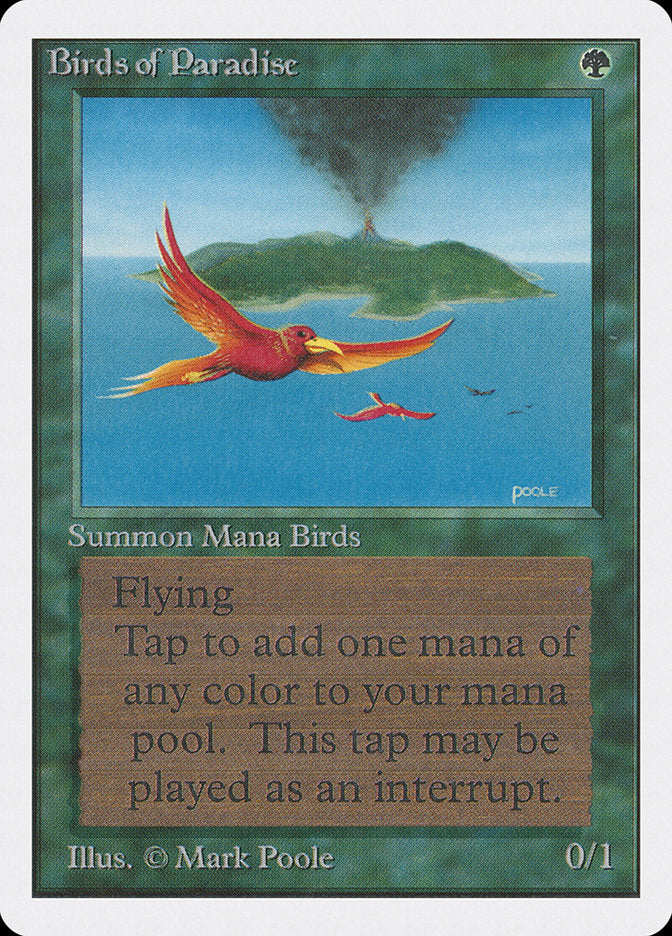 Birds of Paradise [Unlimited Edition] | Black Swamp Games
