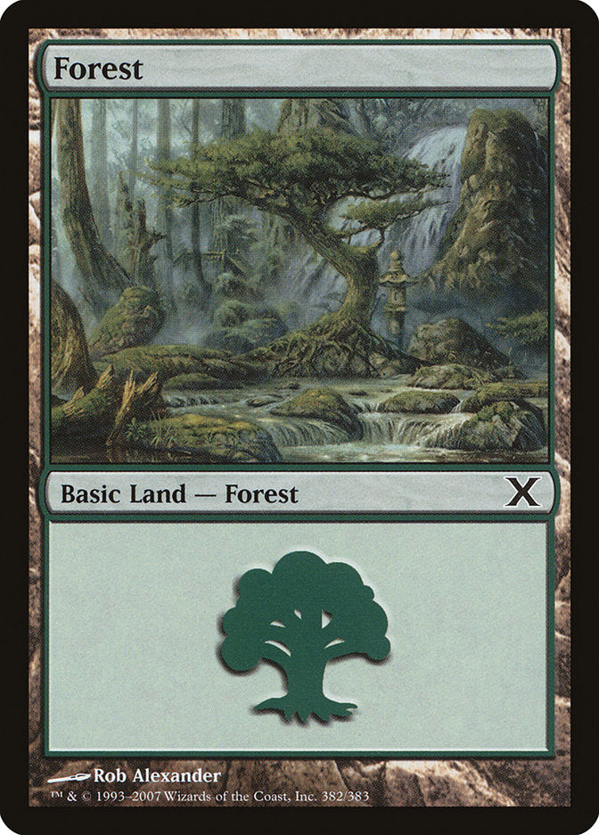 Forest (382) [Tenth Edition] | Black Swamp Games