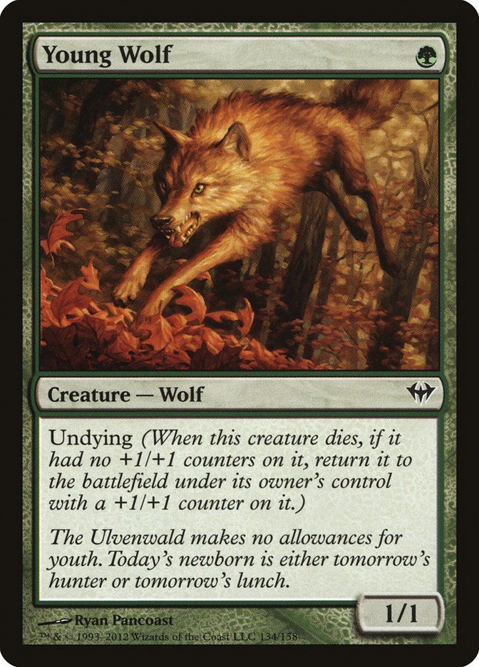 Young Wolf [Dark Ascension] | Black Swamp Games