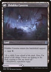 Pelakka Predation // Pelakka Caverns [Zendikar Rising] | Black Swamp Games