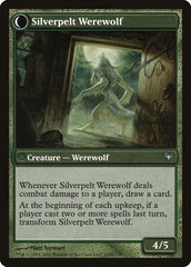 Lambholt Elder // Silverpelt Werewolf [Dark Ascension] | Black Swamp Games