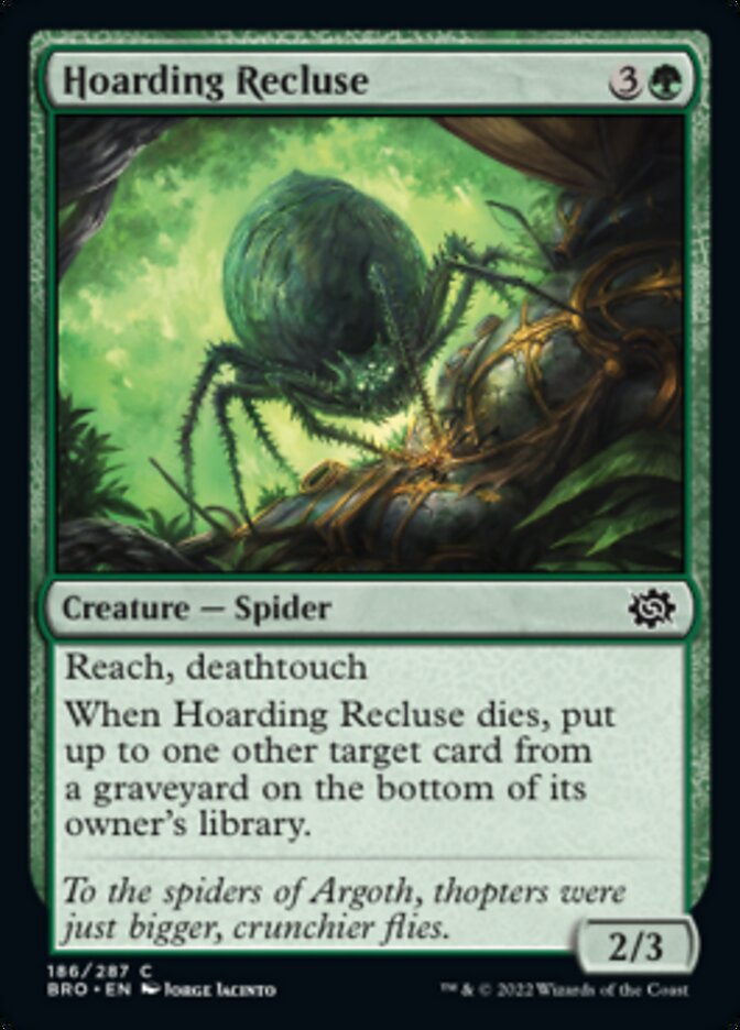 Hoarding Recluse [The Brothers' War] | Black Swamp Games