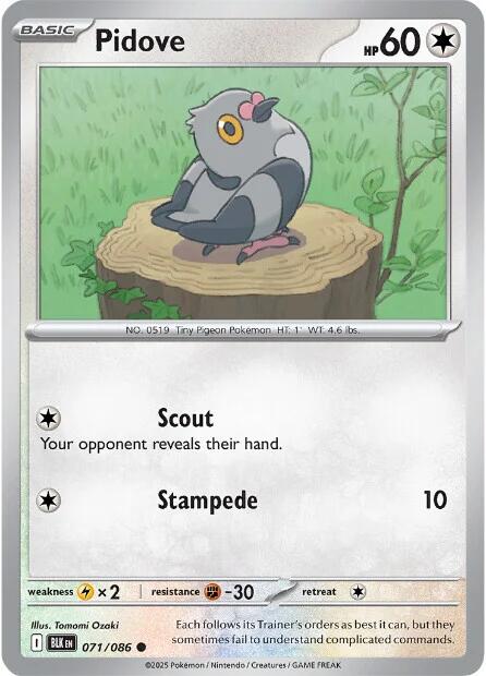 Pidove (071/086) [Scarlet & Violet: Black Bolt] | Black Swamp Games