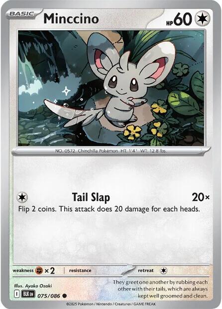 Minccino (075/086) [Scarlet & Violet: Black Bolt] | Black Swamp Games