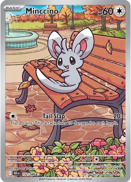 Minccino (152/086) [Scarlet & Violet: Black Bolt] | Black Swamp Games