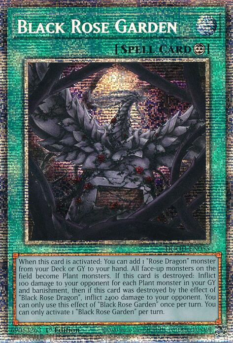 Black Rose Garden (Starlight Rare) [DOOD-EN055] Starlight Rare | Black Swamp Games