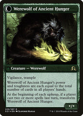 Sage of Ancient Lore // Werewolf of Ancient Hunger [Shadows over Innistrad Prerelease Promos] | Black Swamp Games