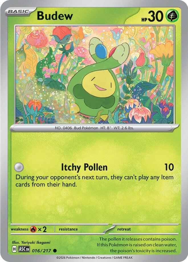Budew (016/217) [Mega Evolution: Ascended Heroes] | Black Swamp Games