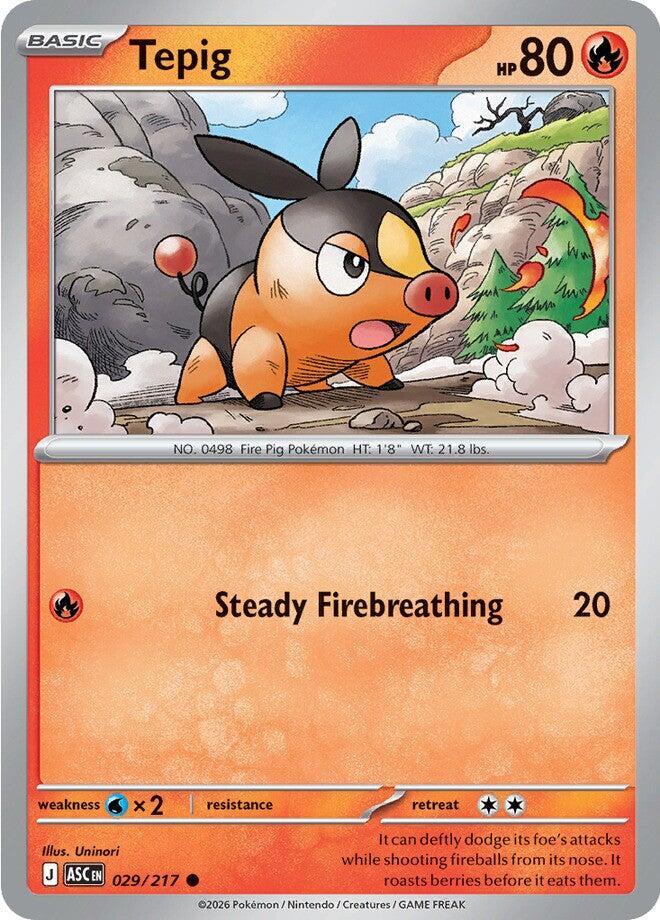 Tepig (029/217) [Mega Evolution: Ascended Heroes] | Black Swamp Games