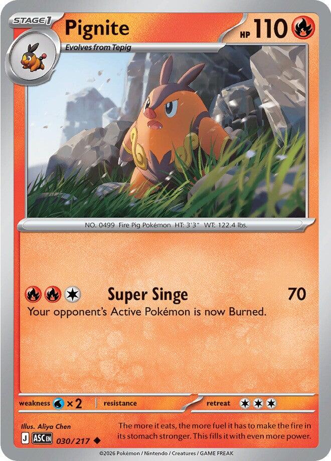 Pignite (030/217) [Mega Evolution: Ascended Heroes] | Black Swamp Games