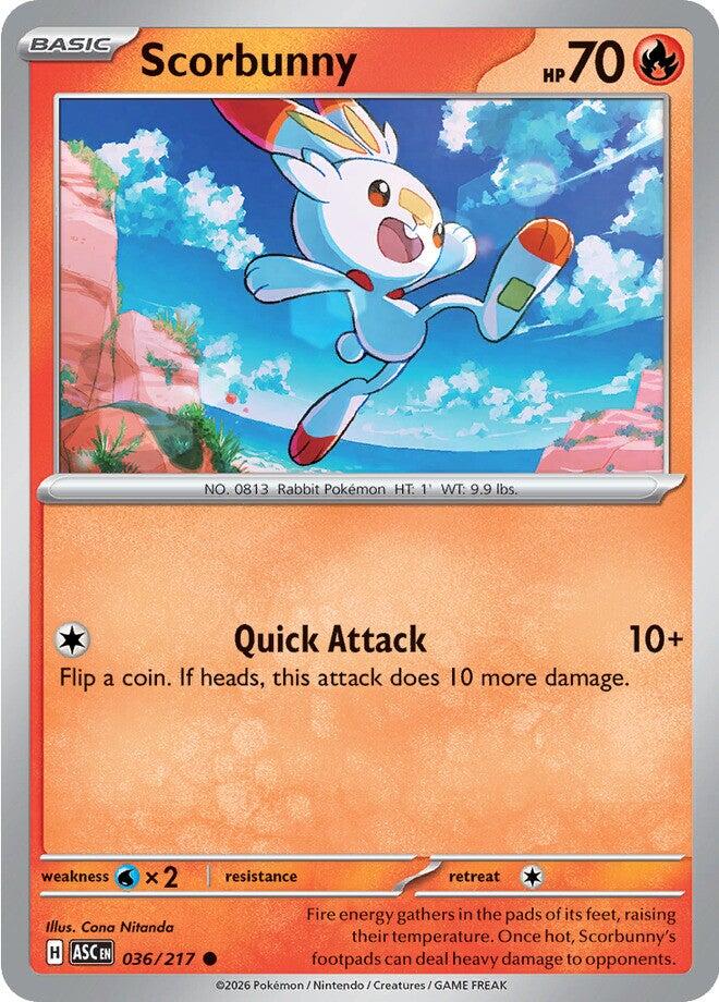 Scorbunny (036/217) [Mega Evolution: Ascended Heroes] | Black Swamp Games