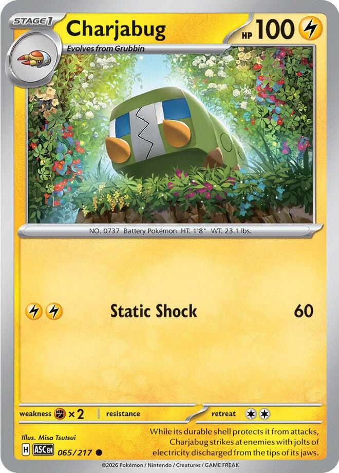 Charjabug (065/217) [Mega Evolution: Ascended Heroes] | Black Swamp Games