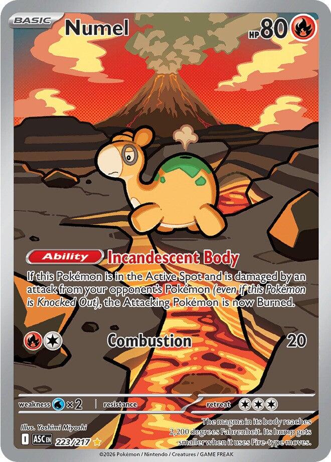 Numel (223/217) [Mega Evolution: Ascended Heroes] | Black Swamp Games