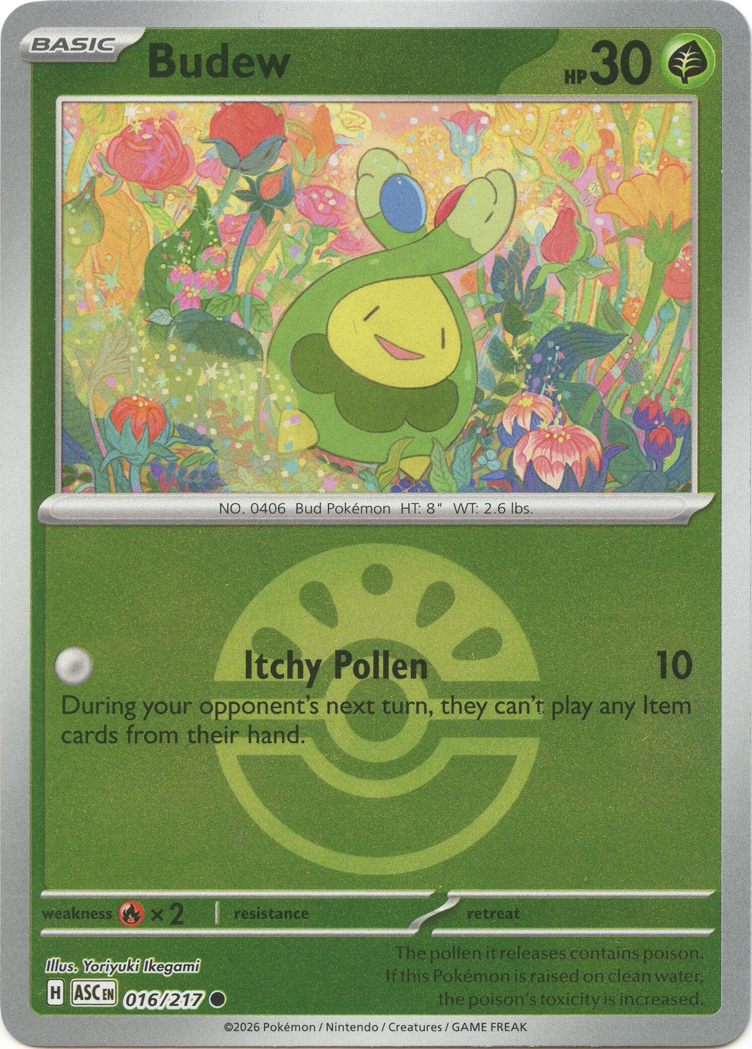Budew (016/217) (Friend Ball) [Mega Evolution: Ascended Heroes] | Black Swamp Games