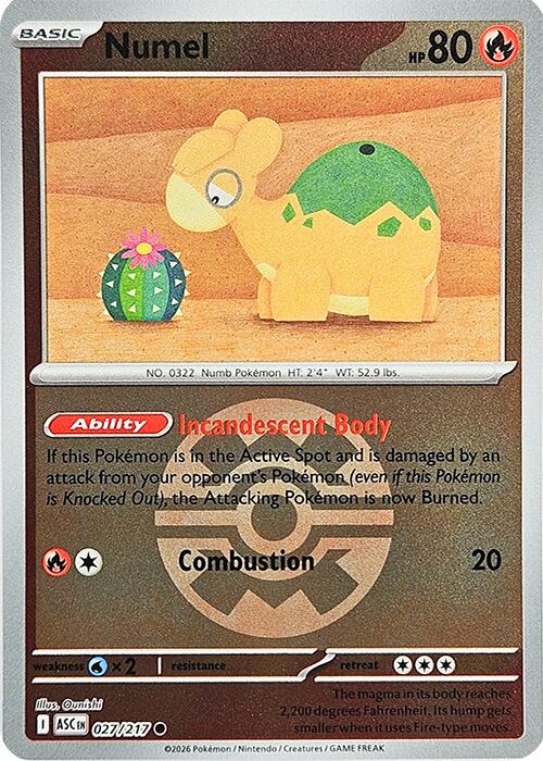 Numel (027/217) (Quick Ball) [Mega Evolution: Ascended Heroes] | Black Swamp Games