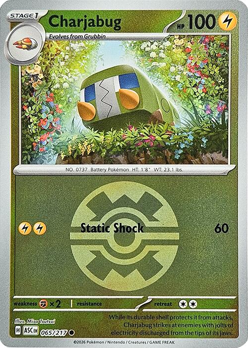 Charjabug (065/217) (Quick Ball) [Mega Evolution: Ascended Heroes] | Black Swamp Games