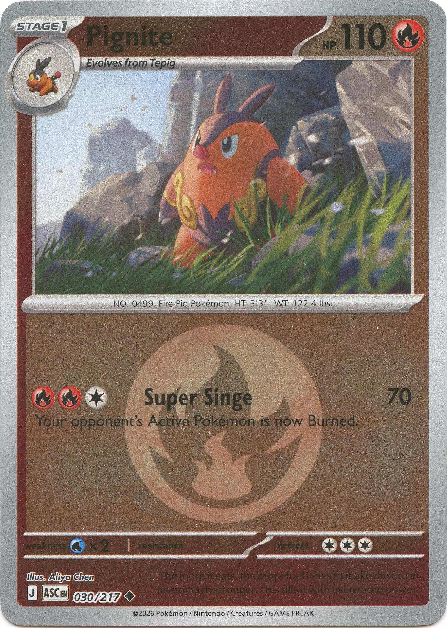 Pignite (030/217) (Energy Symbol Pattern) [Mega Evolution: Ascended Heroes] | Black Swamp Games
