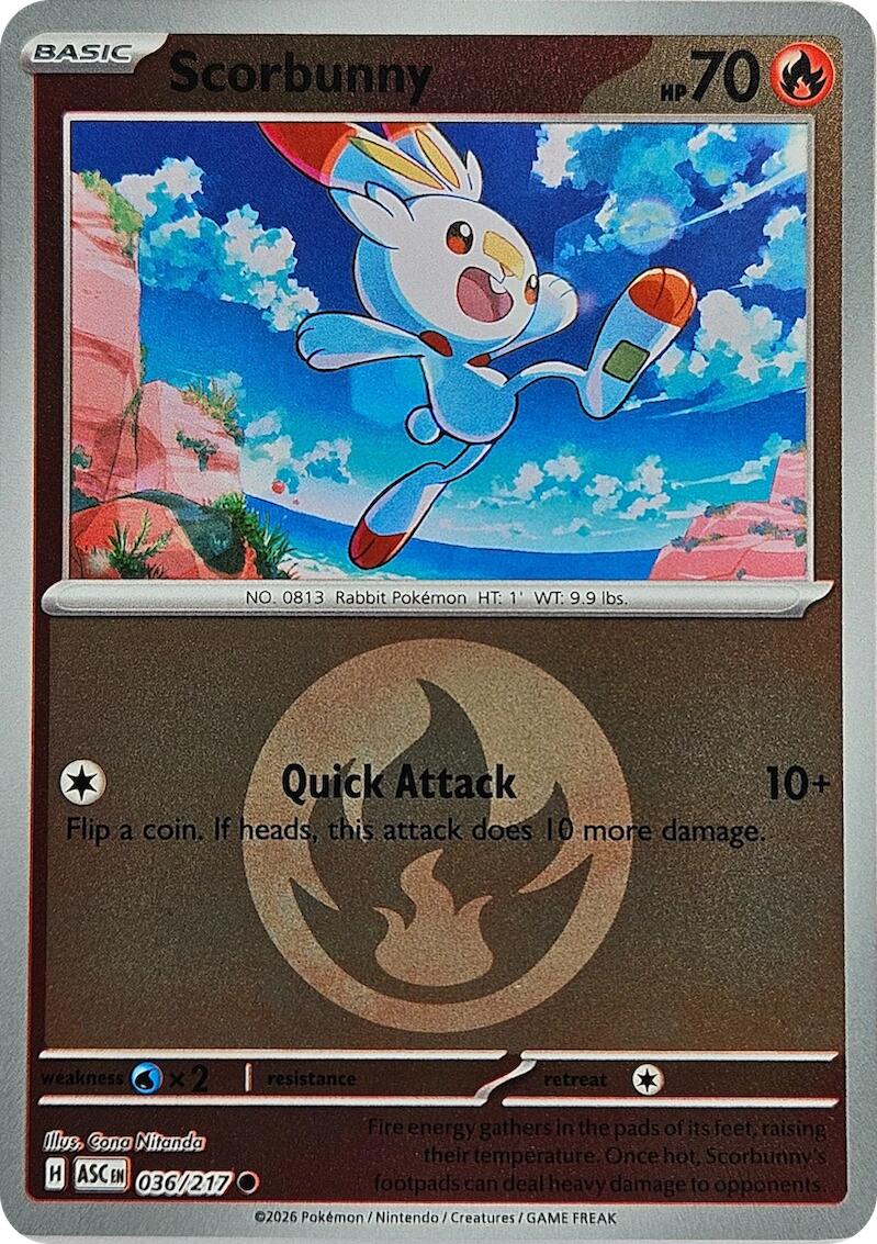 Scorbunny (036/217) (Energy Symbol Pattern) [Mega Evolution: Ascended Heroes] | Black Swamp Games
