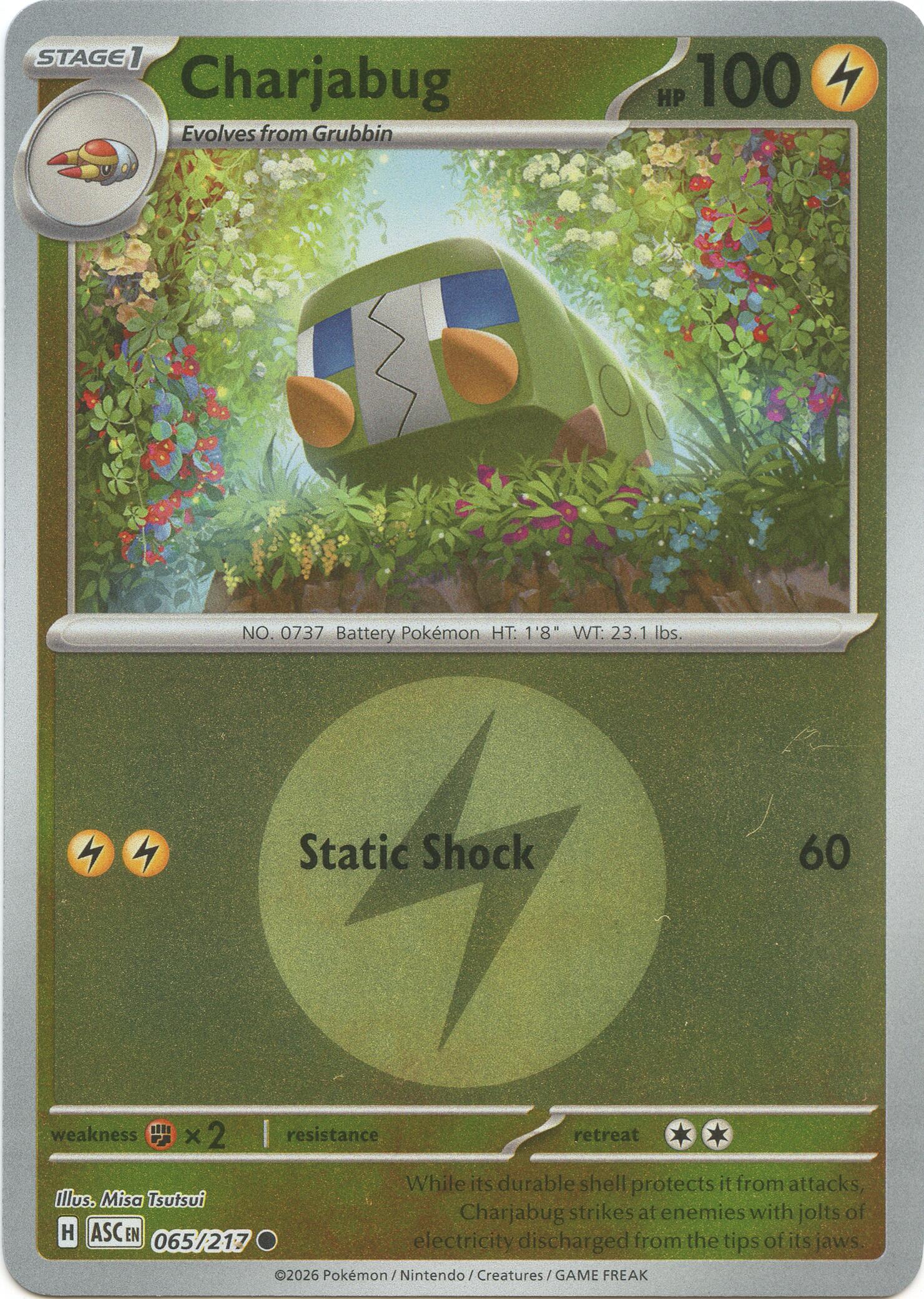 Charjabug (065/217) (Energy Symbol Pattern) [Mega Evolution: Ascended Heroes] | Black Swamp Games