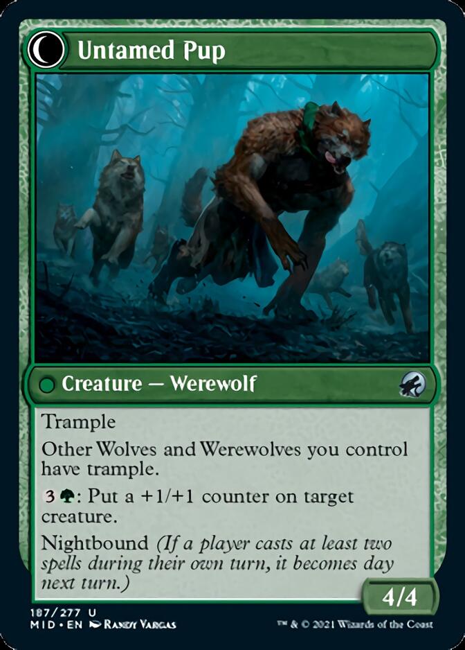 Hound Tamer // Untamed Pup [Innistrad: Midnight Hunt] | Black Swamp Games