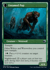 Hound Tamer // Untamed Pup [Innistrad: Midnight Hunt] | Black Swamp Games