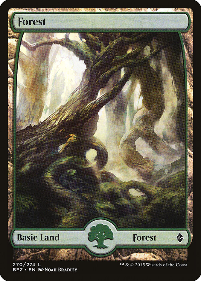 Forest (270) (Full Art) [Battle for Zendikar] | Black Swamp Games
