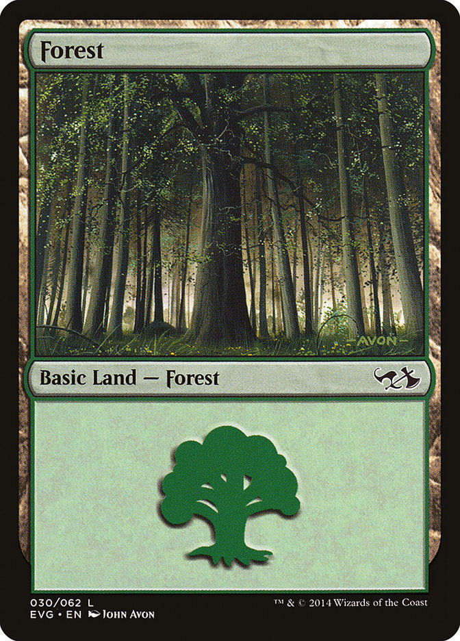 Forest (30) (Elves vs. Goblins) [Duel Decks Anthology] | Black Swamp Games