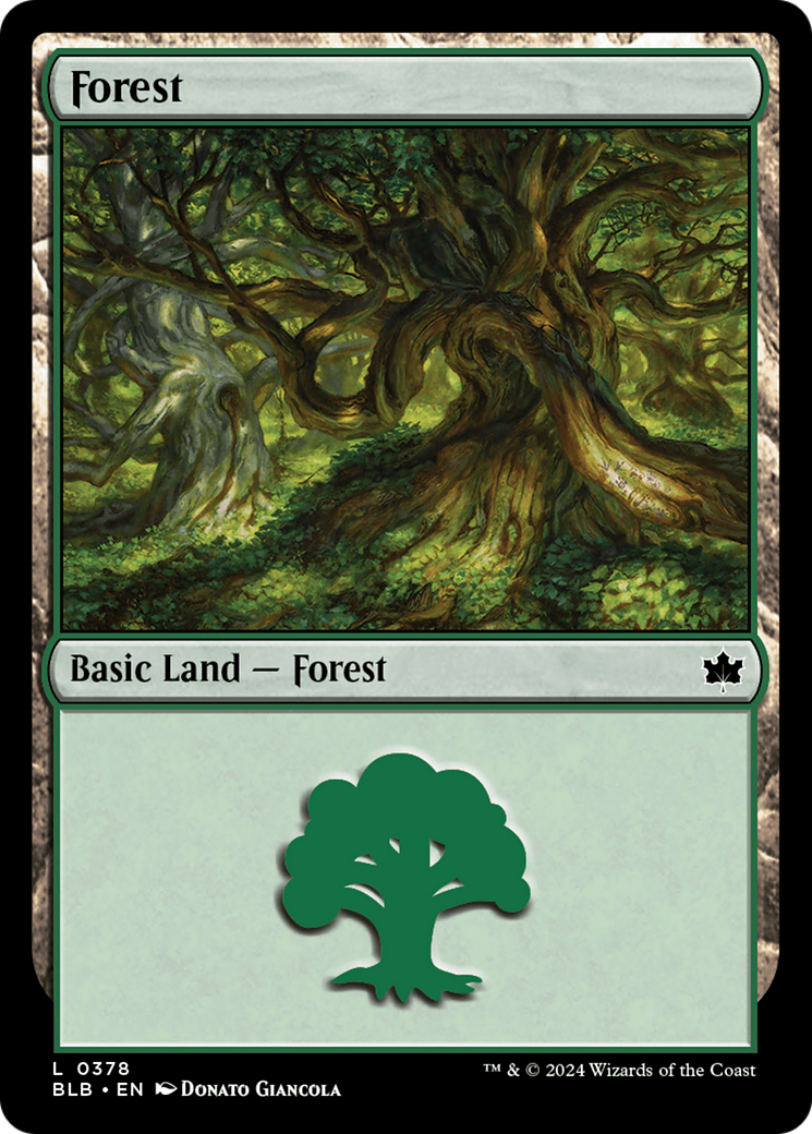 Forest (0378) [Bloomburrow] | Black Swamp Games